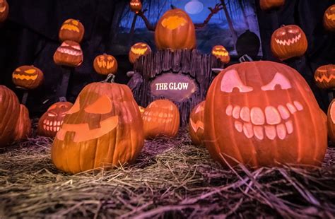 Don't Let Halloween Pass You By - Use a Promotional Code for Magic of the Jack O'Lantern Tickets